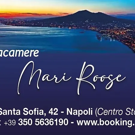 Mari Roose